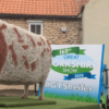 An image from Malton Food Festival, showing a cow made out of straw and a poster advertising the Great Yorkshire Show.