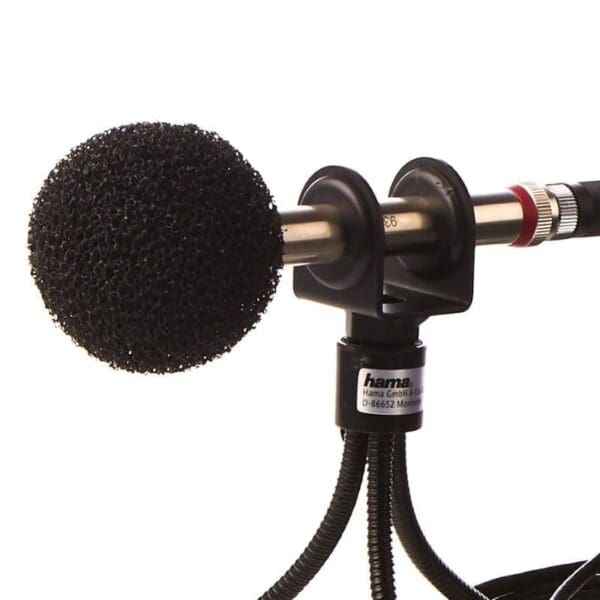 Pare-brise du microphone