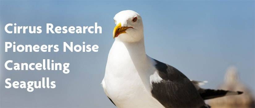 Cirrus Research Pioneers Noise Cancelling Seagulls